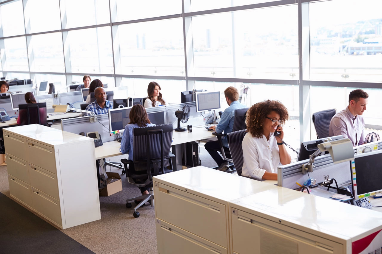 Office Workers Cubicles